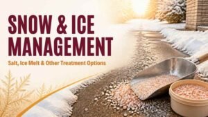 Snow & Ice Management Albany NY: Salt, Ice Melt & Other Treatment Options